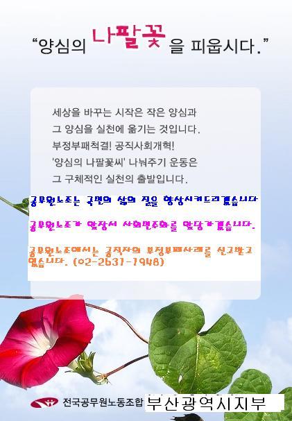 양심의 나팔꽃씨 나누기 운동